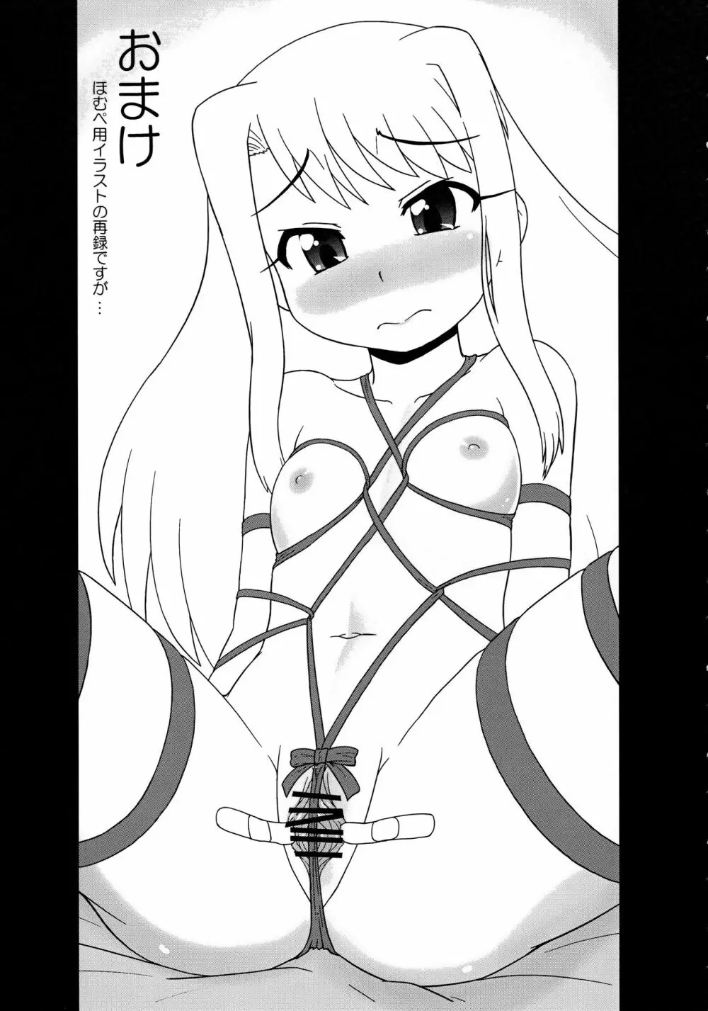 (C81) [PNOグループ (はせ☆裕)] イリヤ分補完計画5(仮)が冬コミに間に合いませんでしたごめんなさい本 (Fate/kaleid liner プリズマ☆イリヤ) - page14