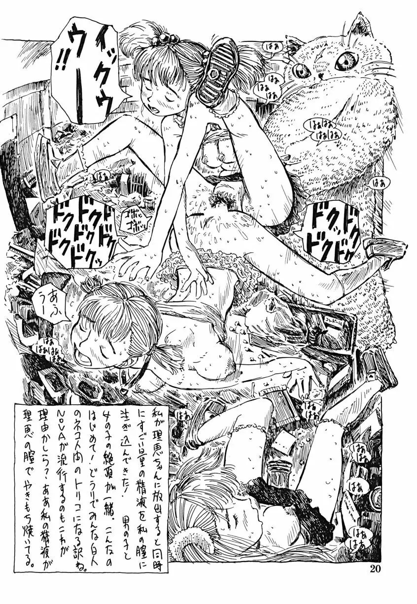 フタナリ姉妹とネコ人間Vol.1 - page20
