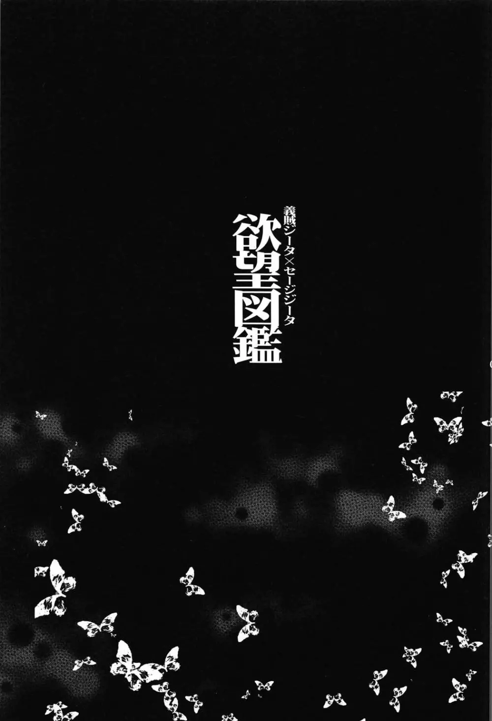 義賊ジータｘセージジータ 欲望図鑑 - page4