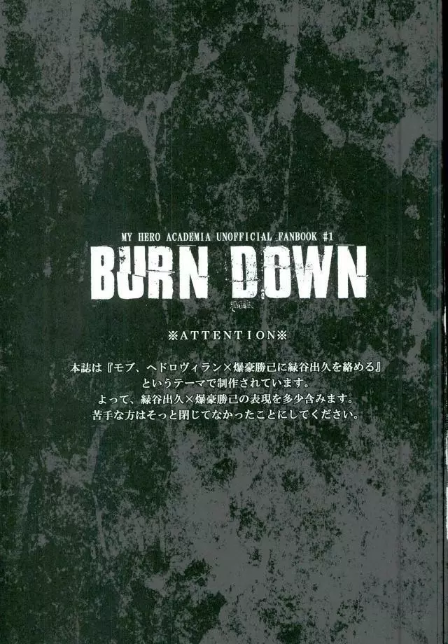 BURN DOWN - page2