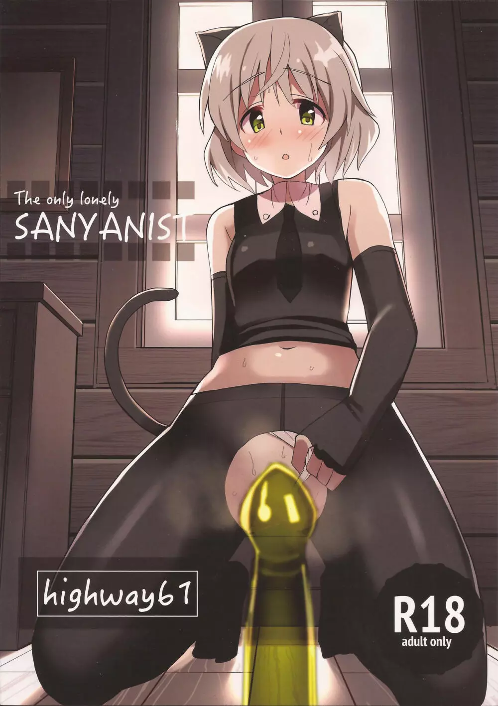 The only lonely SANYANIST - page18
