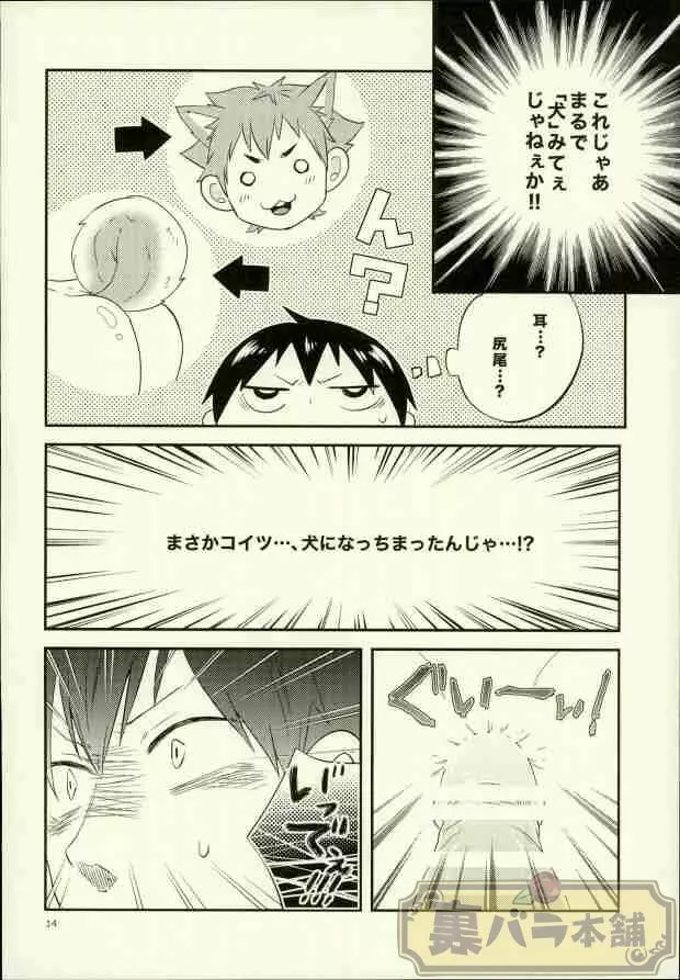 俺の彼氏が犬に取り憑かれまして。 - page13