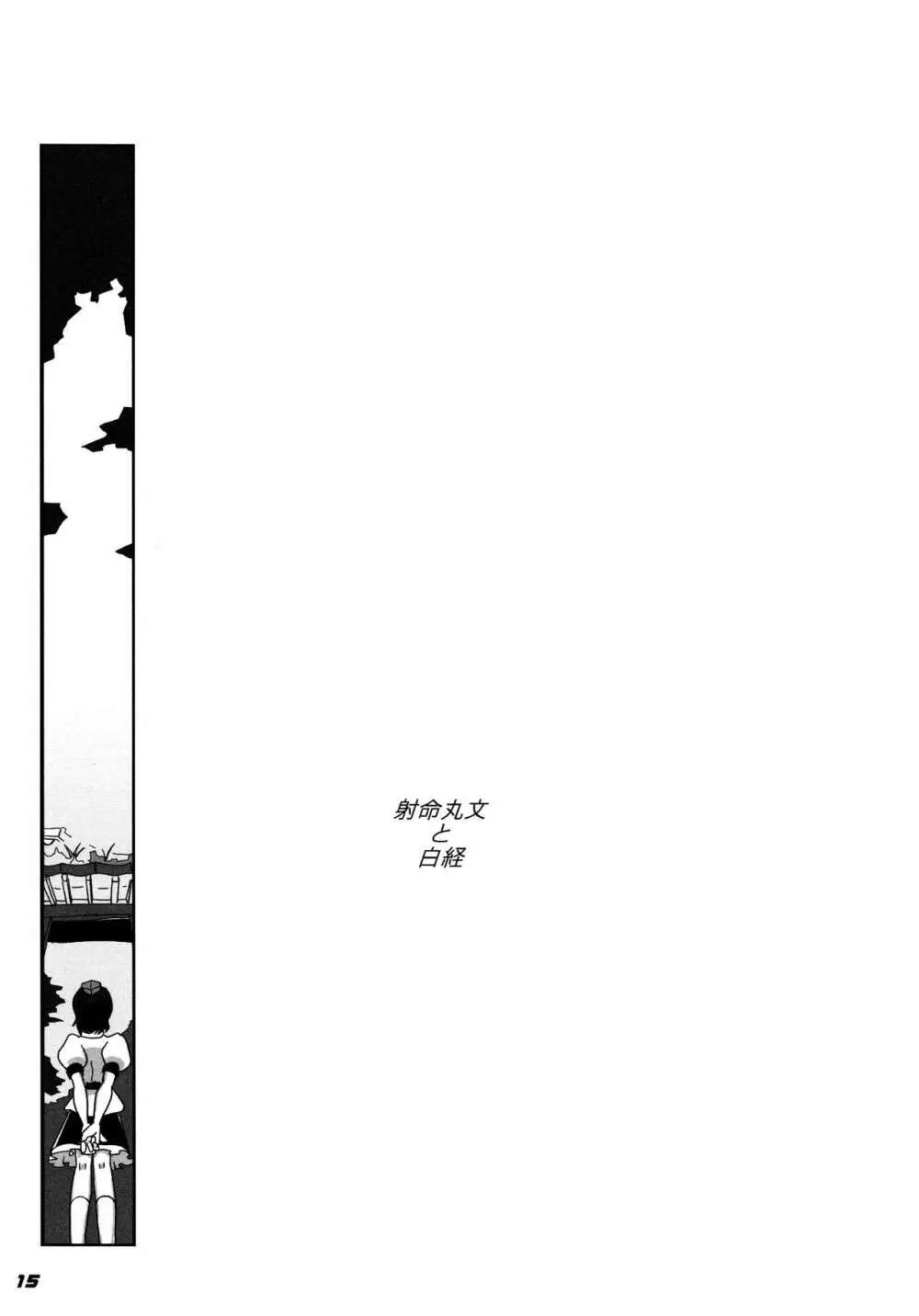 TOHO N+ 109／14 - page17