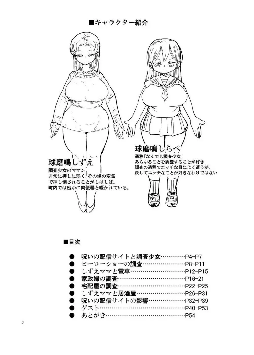 冬にもなんでも調査少女の同人誌が出た？分かりました調査します - page2