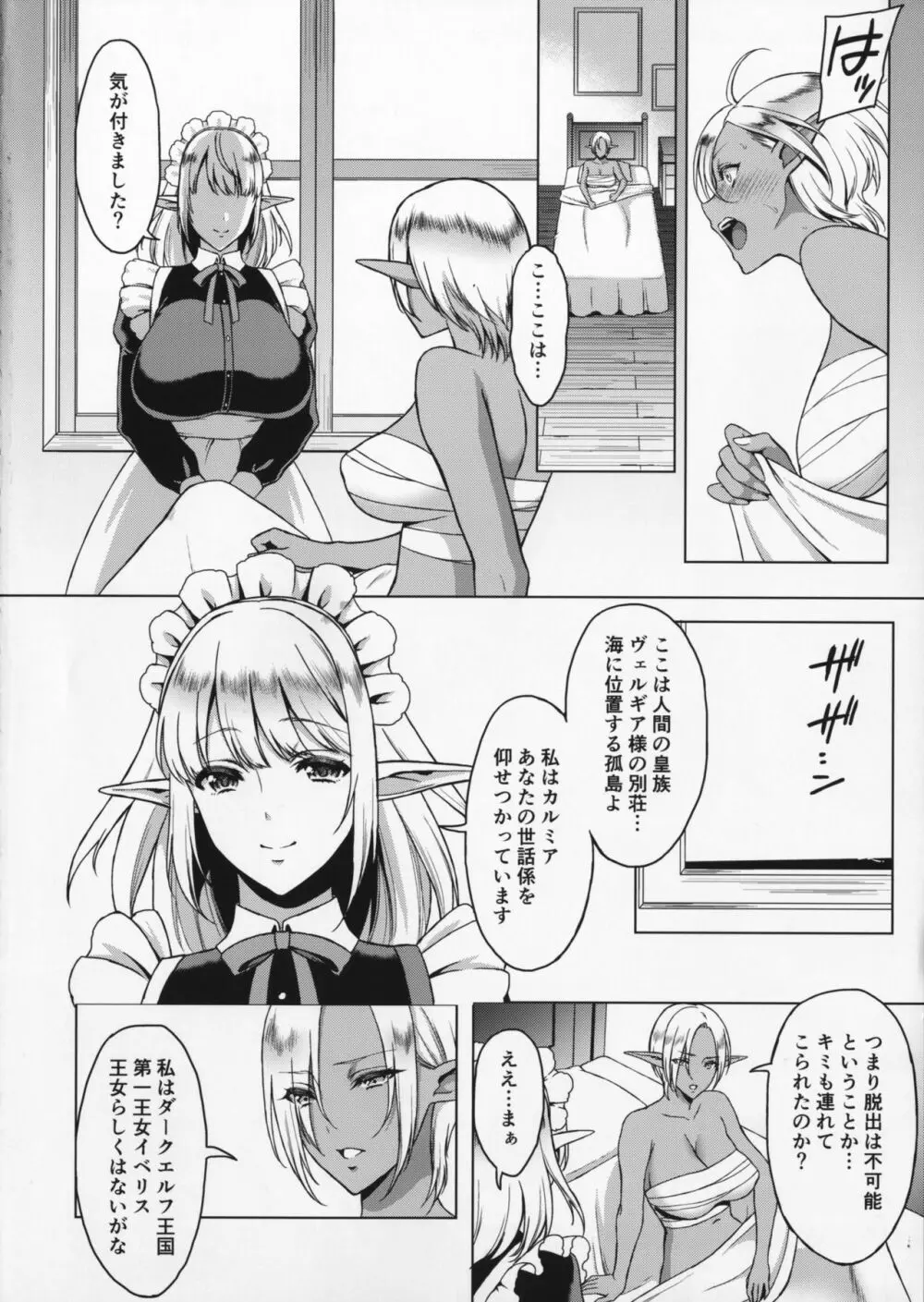隷属エルフメイド + C91会場限定本 - page3