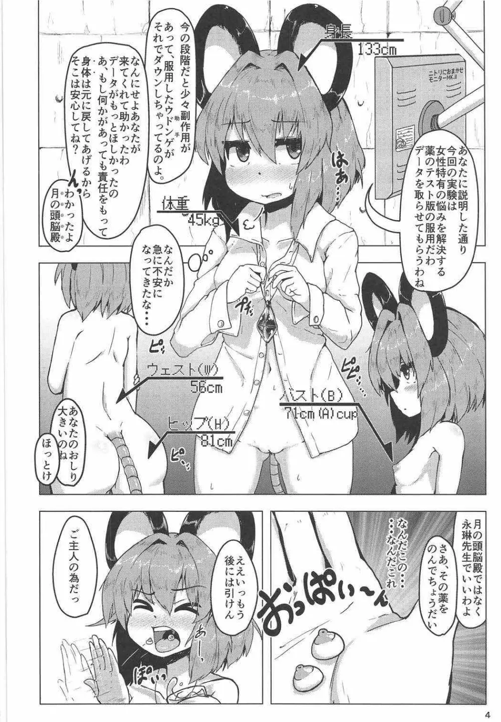実験用ナズーリン - page3