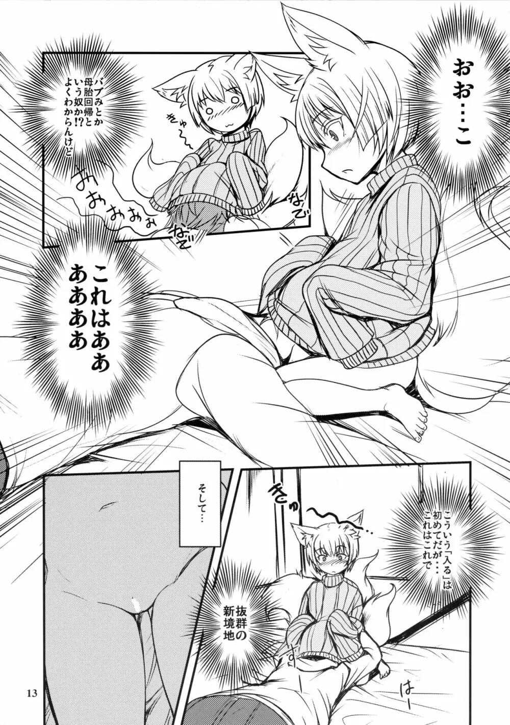 白狐の杜其の拾 - page13