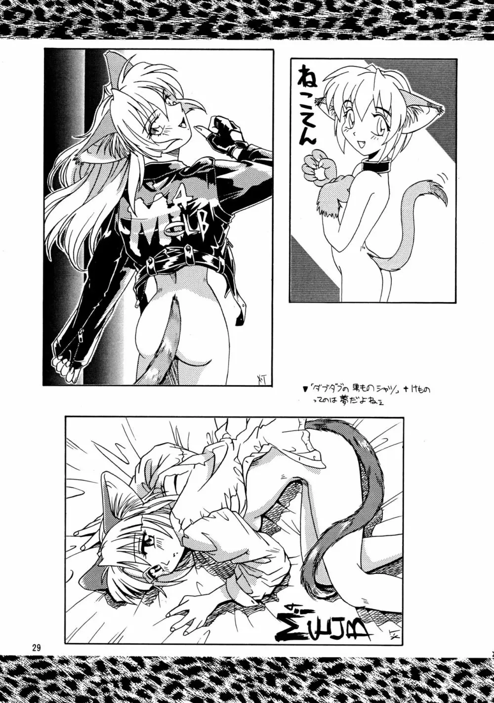 CAZA MAYOR - page29