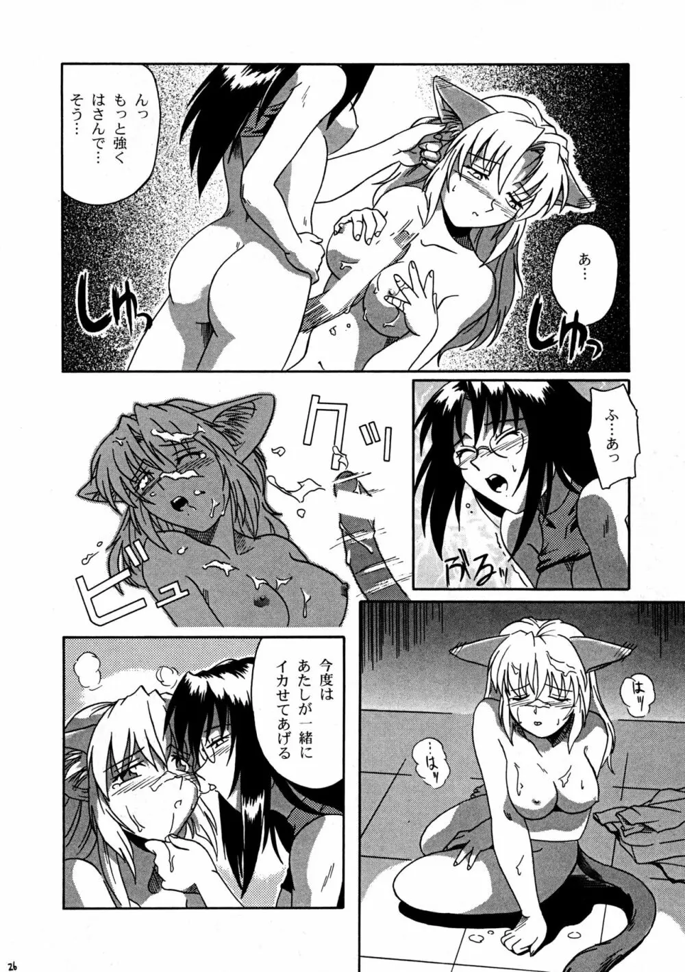 CAZA MAYOR 2 - page26