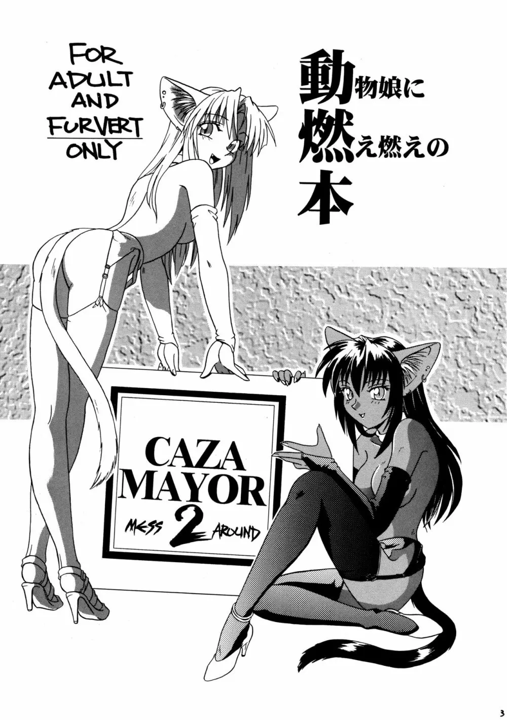 CAZA MAYOR 2 - page3