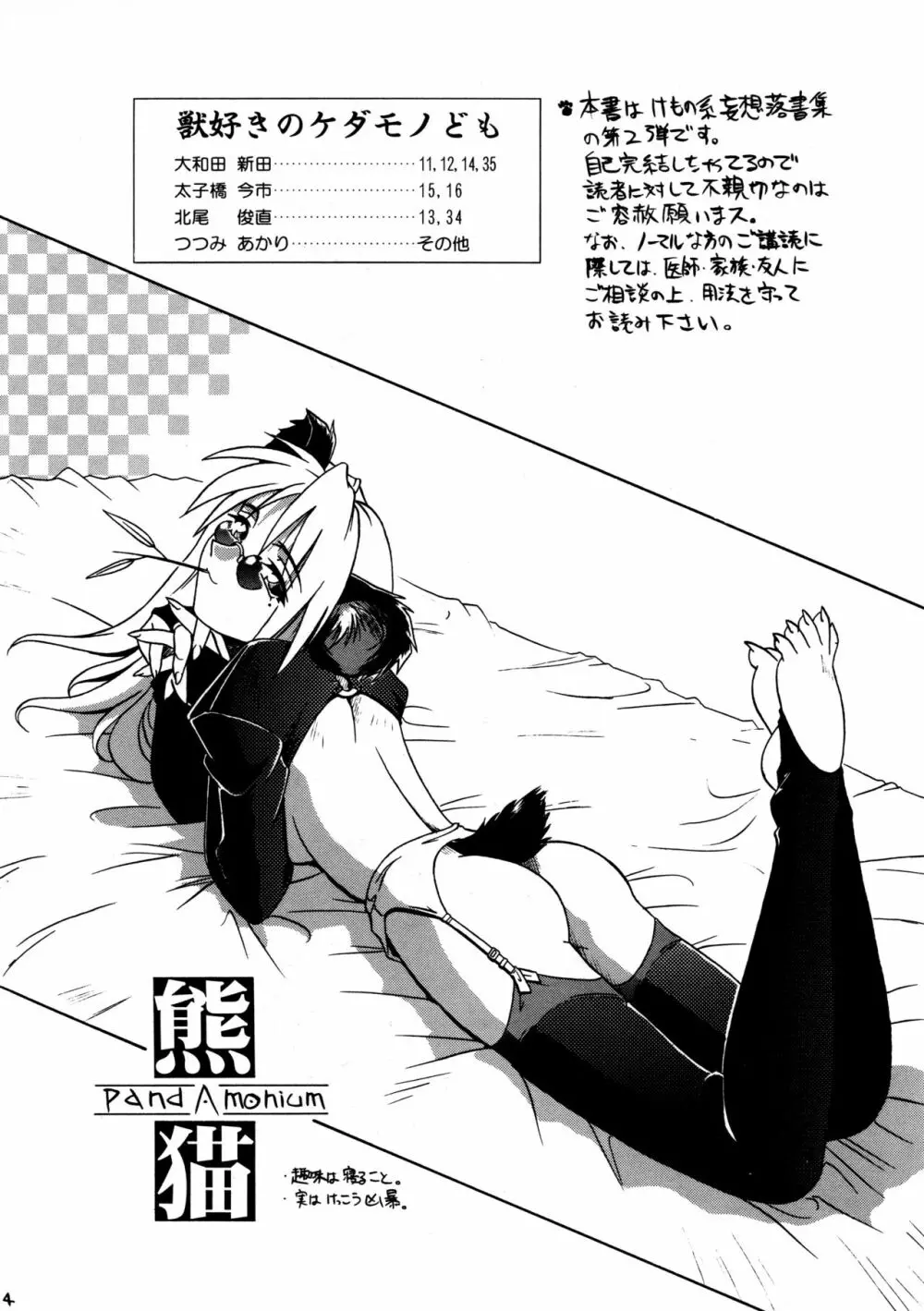 CAZA MAYOR 2 - page4