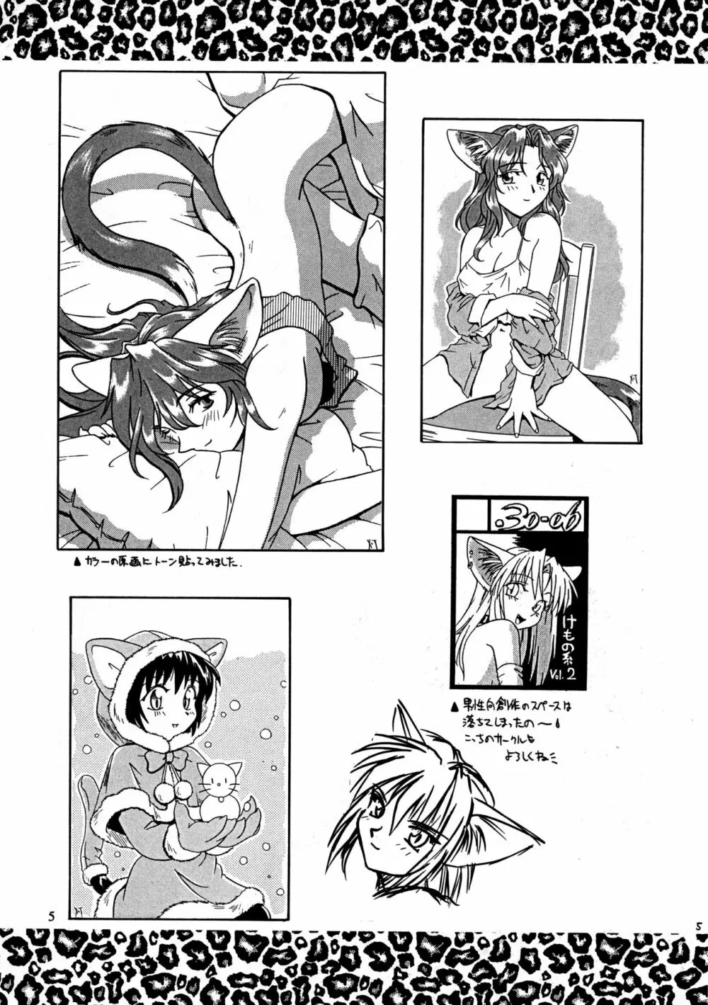 CAZA MAYOR 2 - page5
