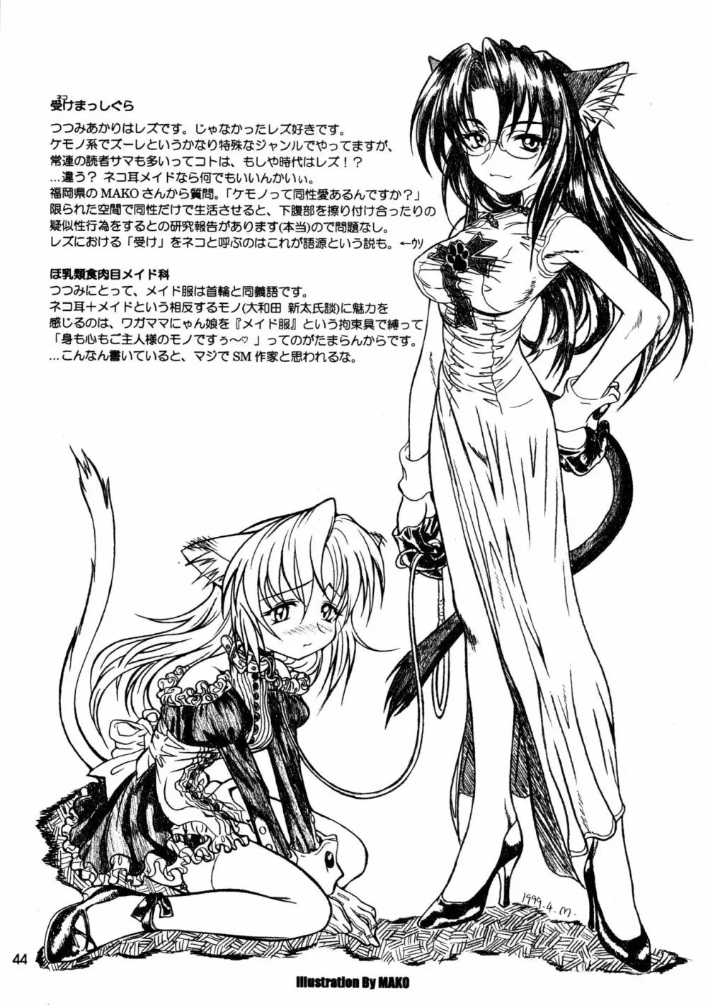 CAZA MAYOR ～'99 estio～ - page44