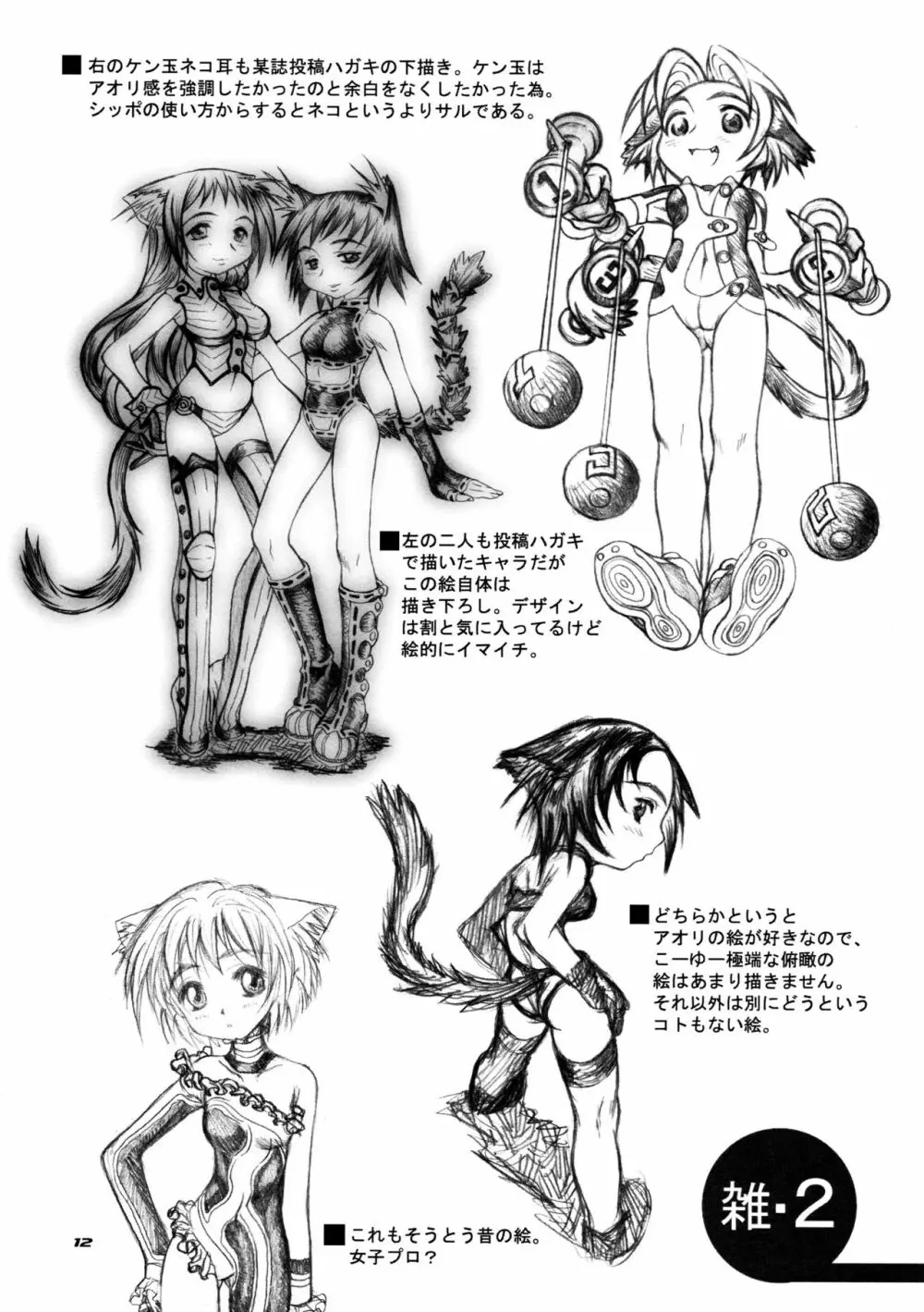 CAZA MAYOR 6 - page12