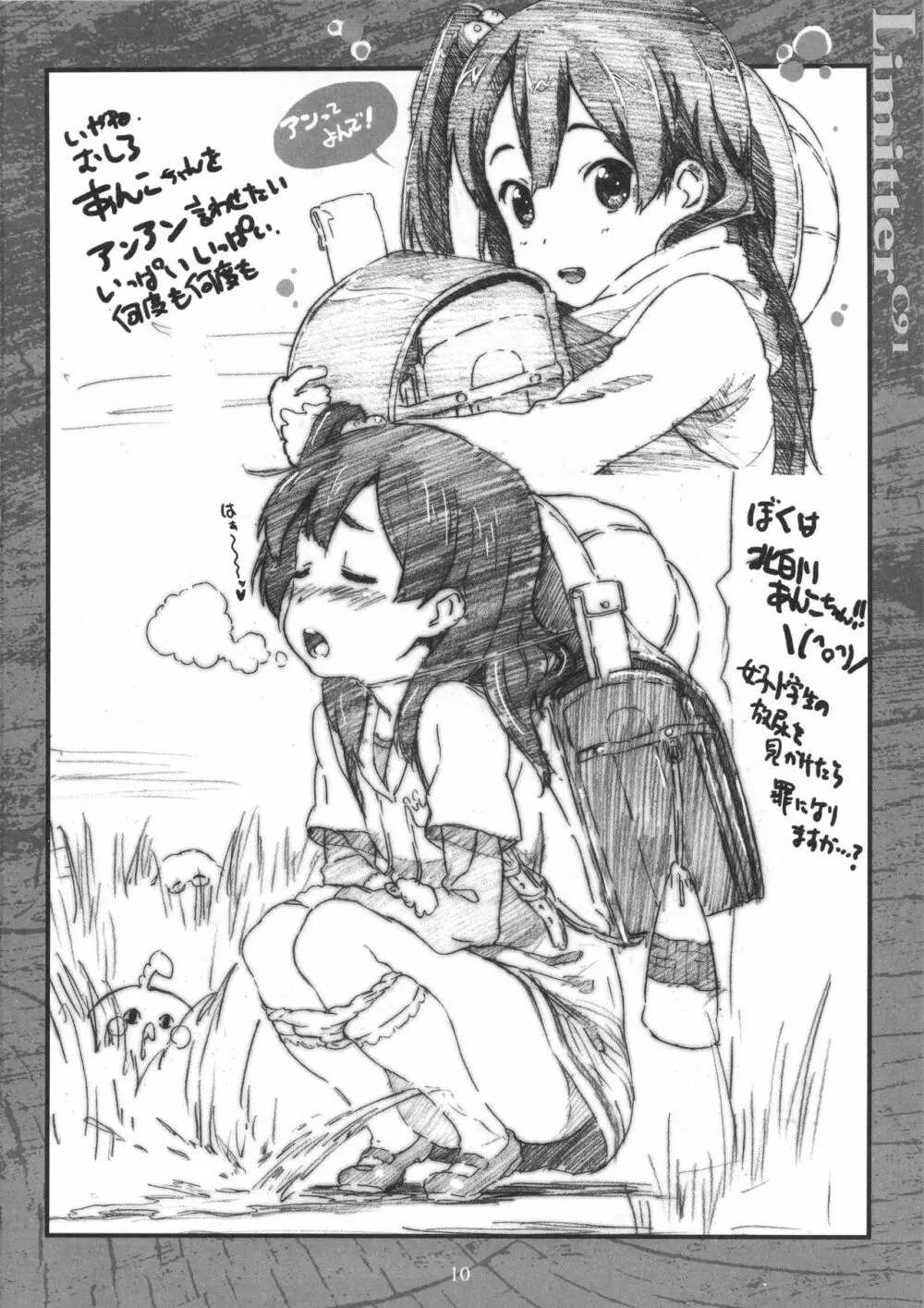 Limitter C91 - page10