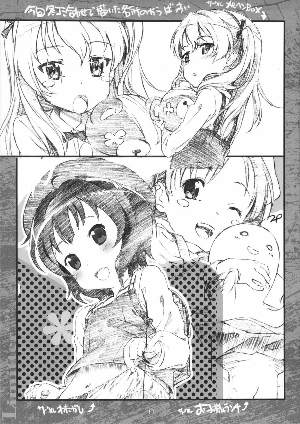 Limitter C91 - page13