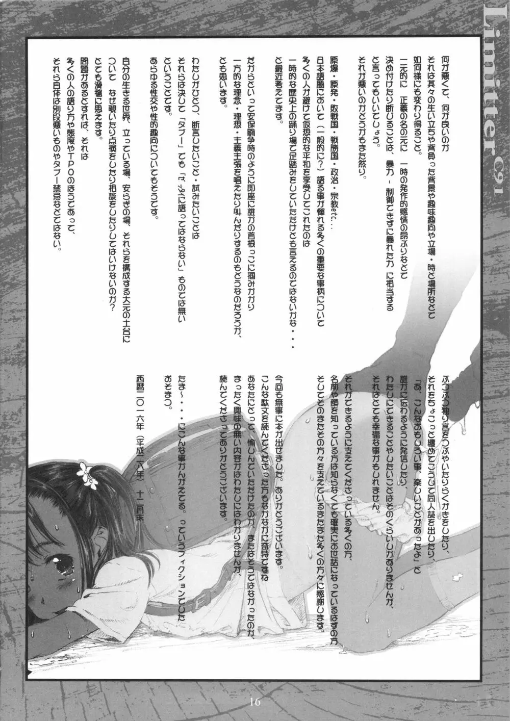 Limitter C91 - page16