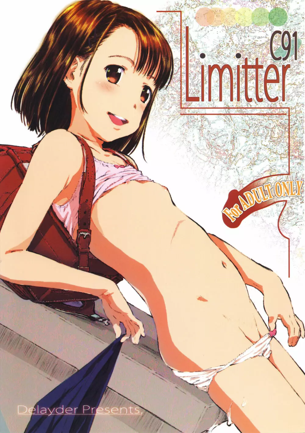 Limitter C91 - page2