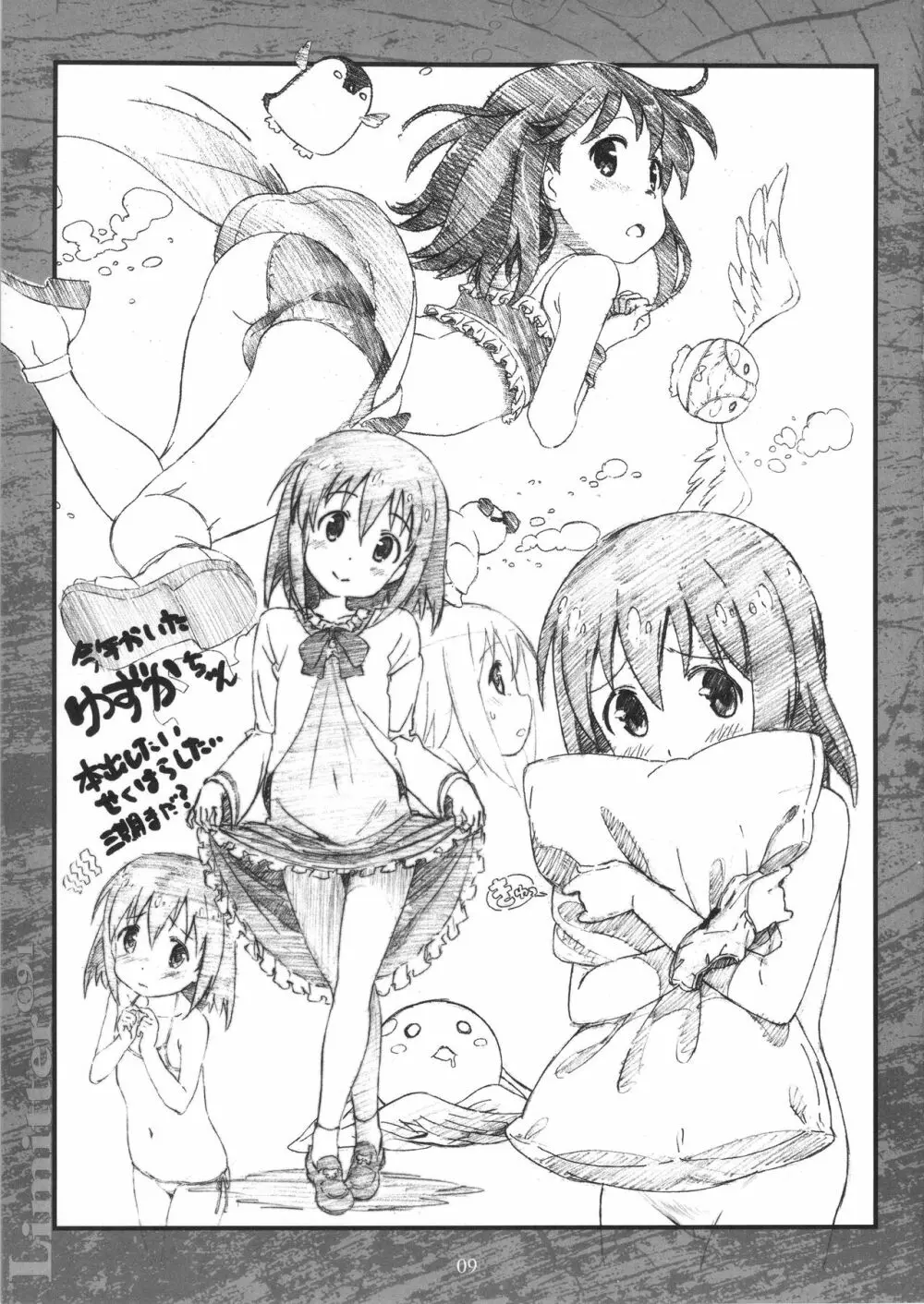 Limitter C91 - page9