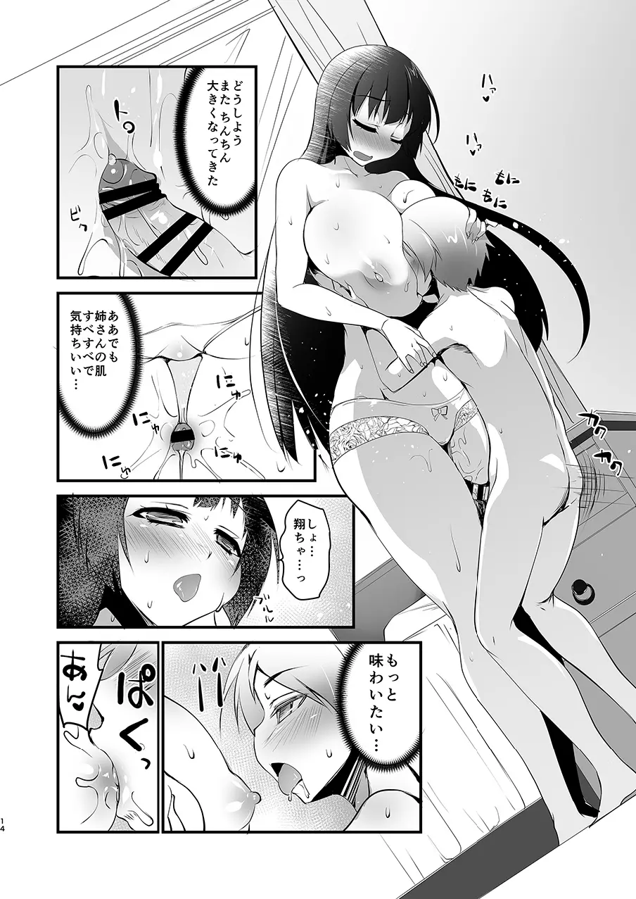 巨乳のお姉ちゃんは好きですか?DUO - page14