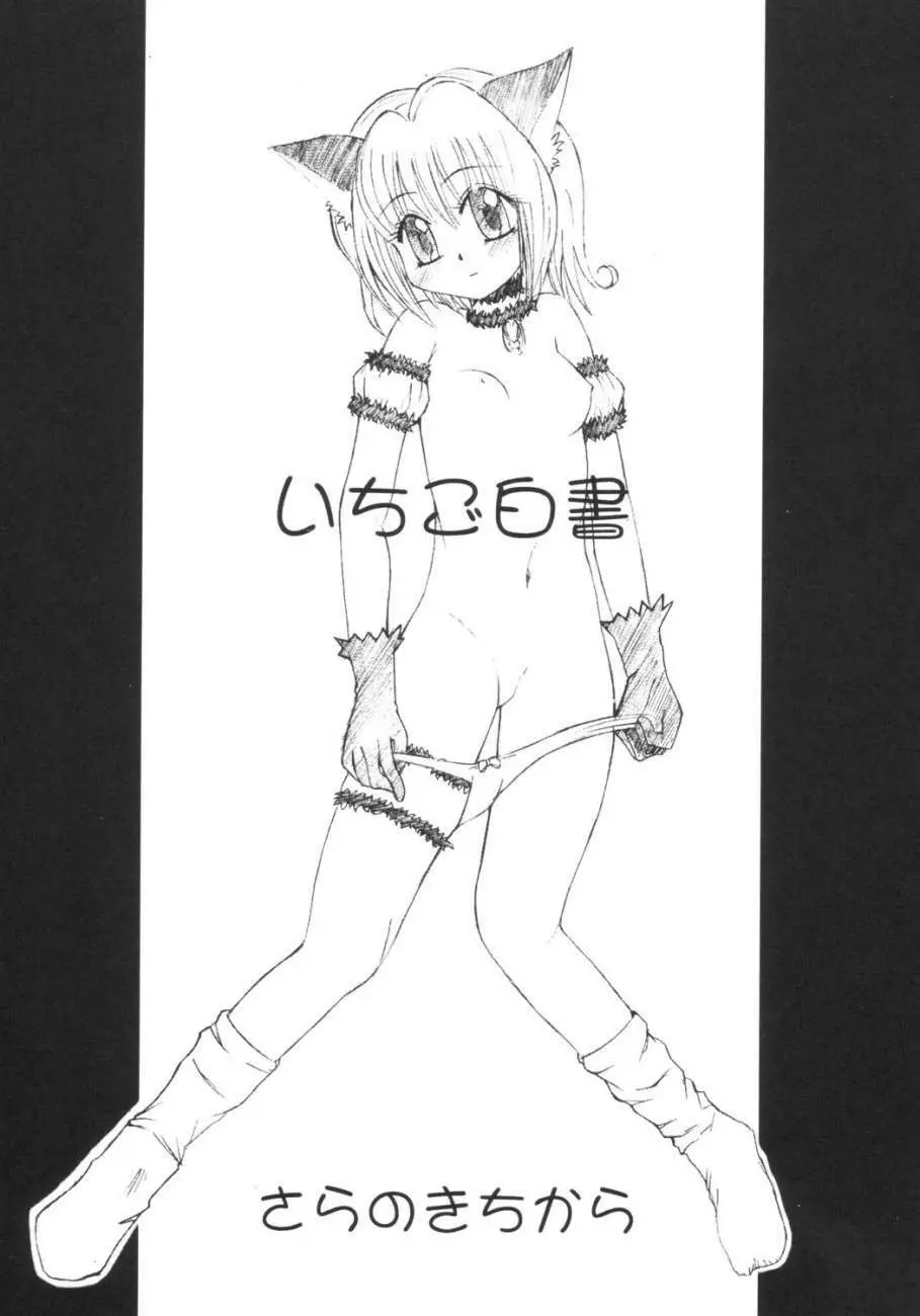 Tokyo Nyan nyan - page4