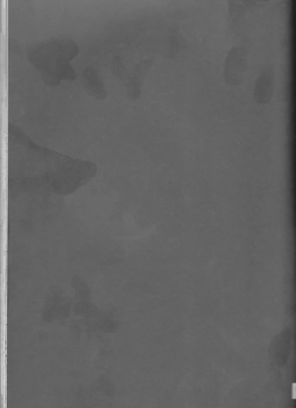 Name of Rose - page79