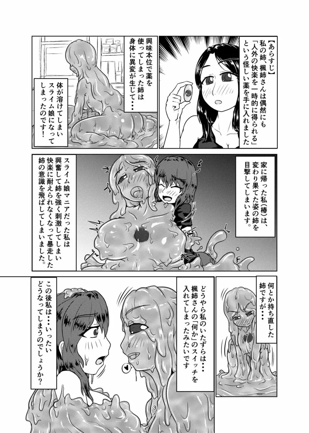 私の姉はスライム娘 -2日目- - page3