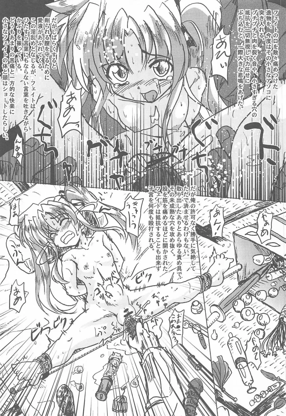 フェイト監虐 - page12