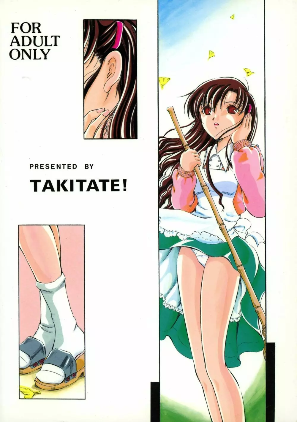 Tricolor - page2