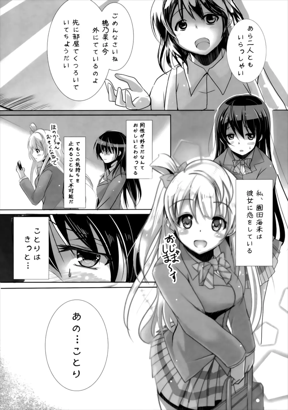 海未の本懐 - page3
