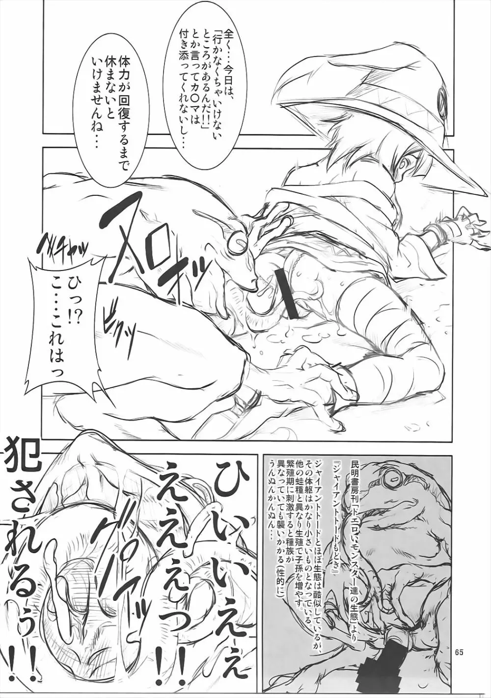 FD vol.5 - page64