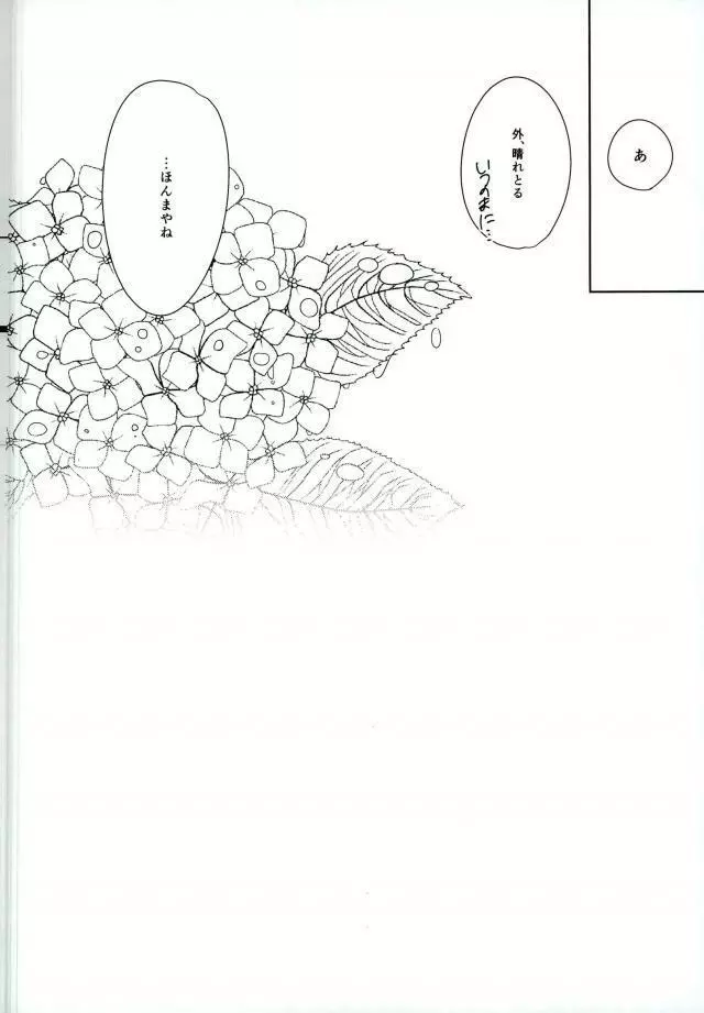 Hydrangea - page17