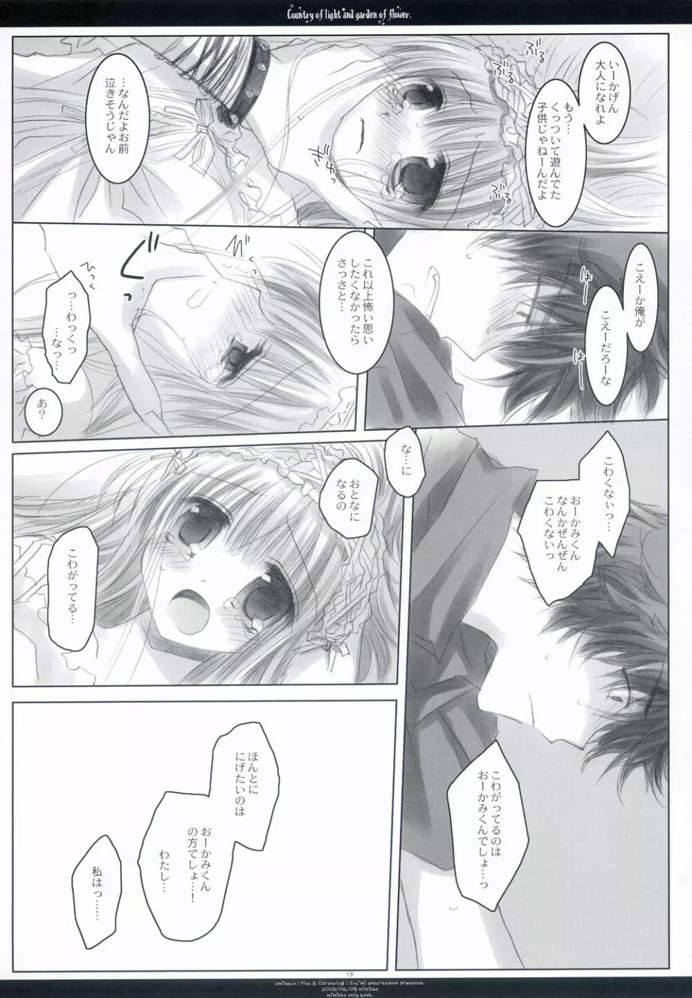 Country of light and garden of flower - page12