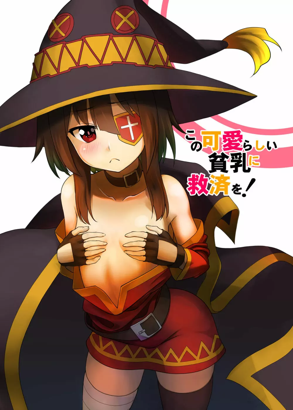この可愛らしい貧乳に救済を!