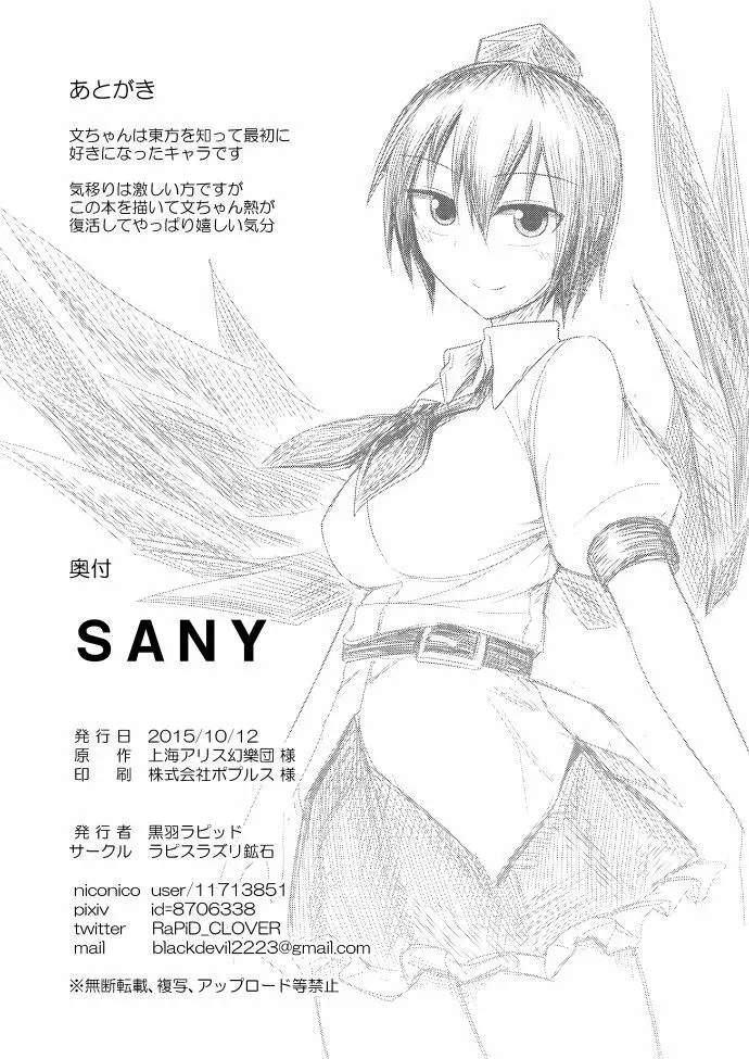 SANY - page33