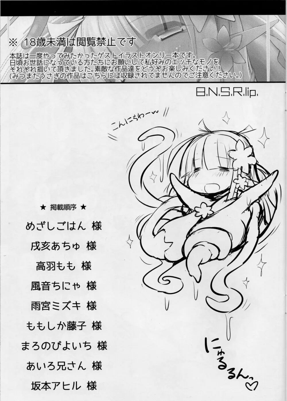 B.N.S.R.lip. - page2
