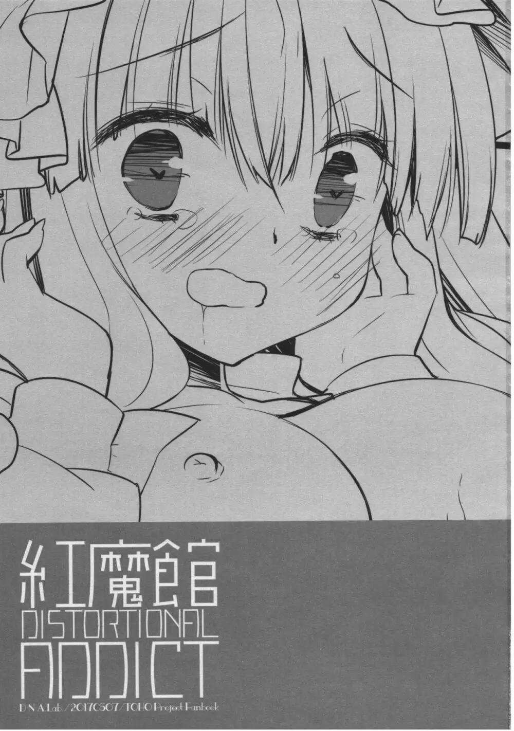 紅魔館DISTORTIONAL ADDICT - page2
