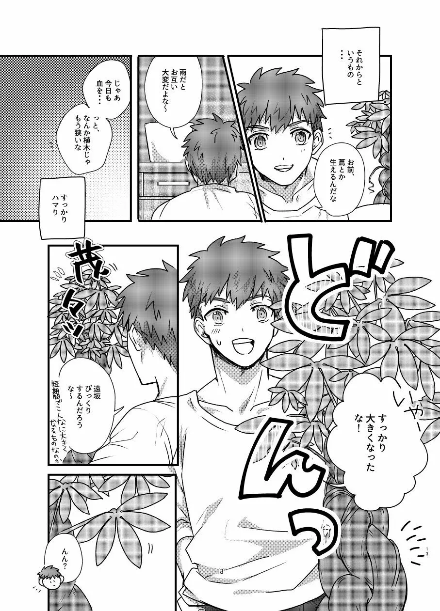 [Microbeurre (小旗つねちか)] あ~!士郎くん危な~い (Fate/stay night) [DL版] - page12