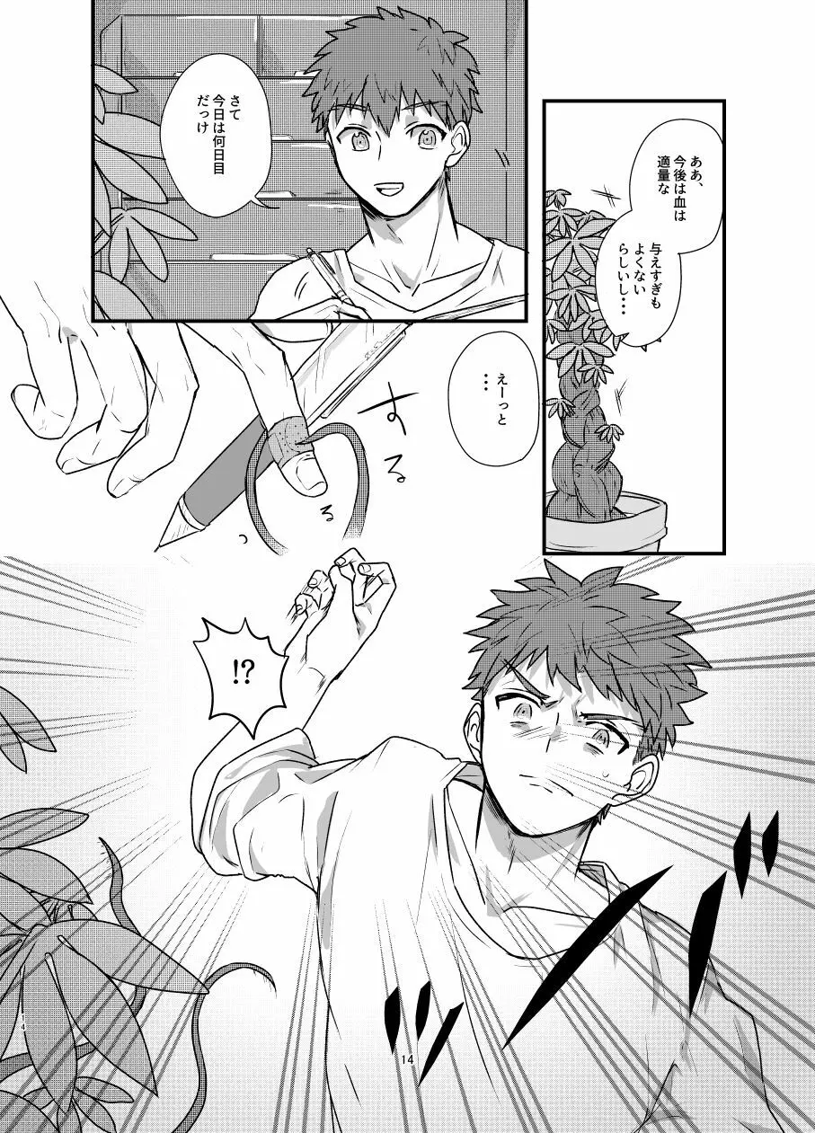 [Microbeurre (小旗つねちか)] あ~!士郎くん危な~い (Fate/stay night) [DL版] - page13