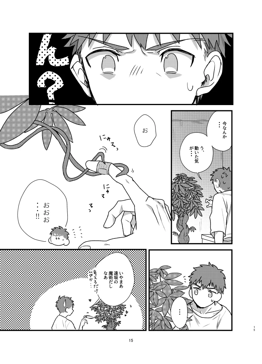 [Microbeurre (小旗つねちか)] あ~!士郎くん危な~い (Fate/stay night) [DL版] - page14
