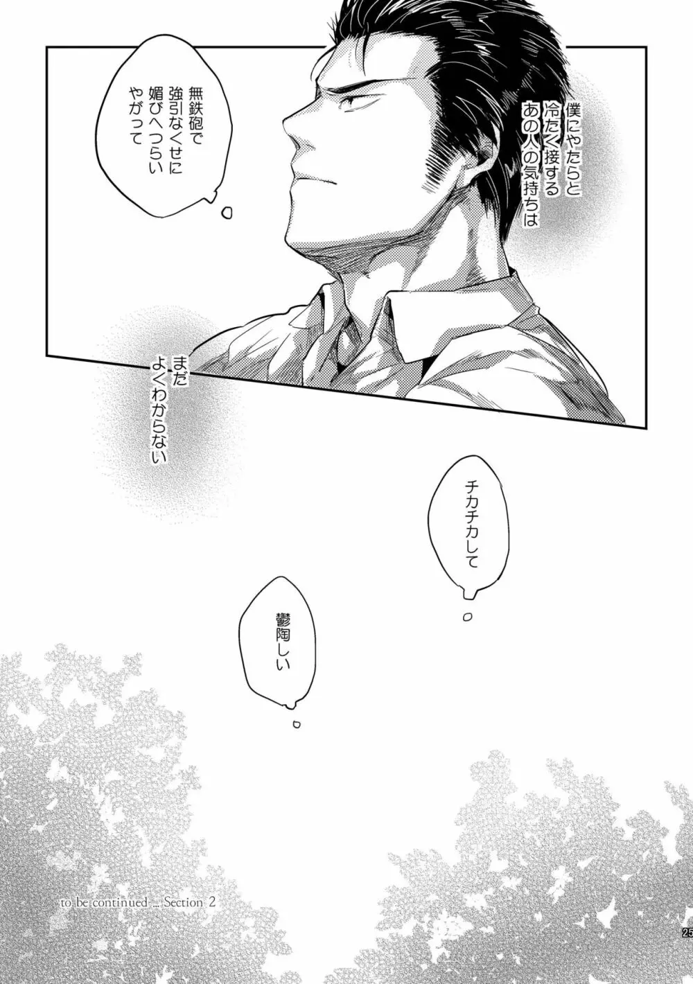 偏愛の鉄線 - page25