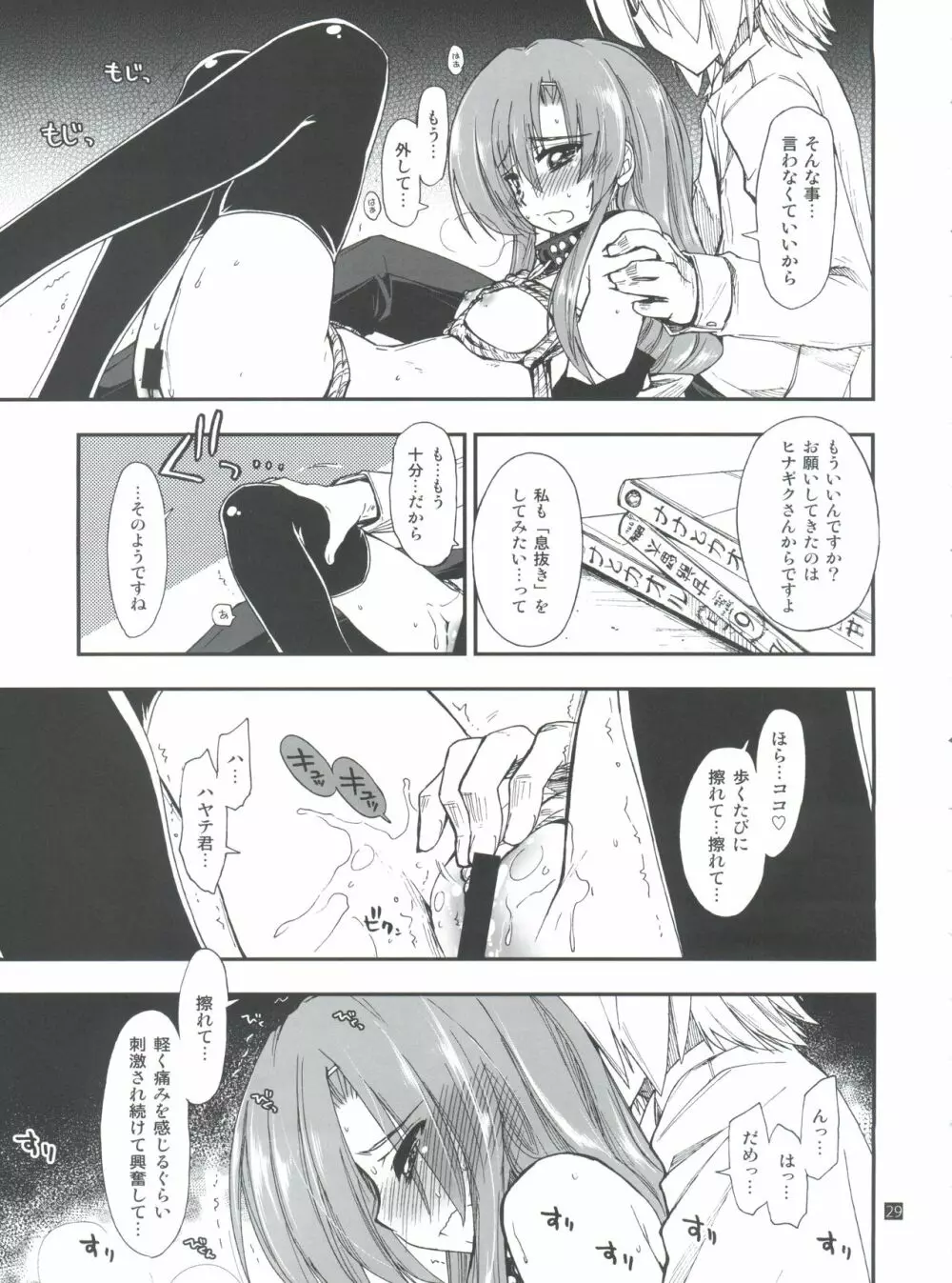 ヒナとハヤテ 1 - page29