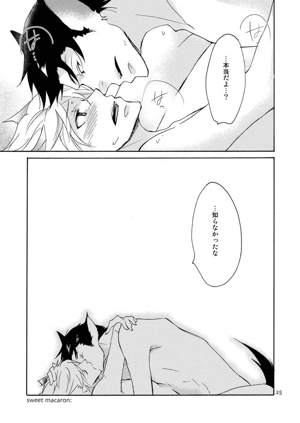 WOLF'S CAT Macaron: - page25