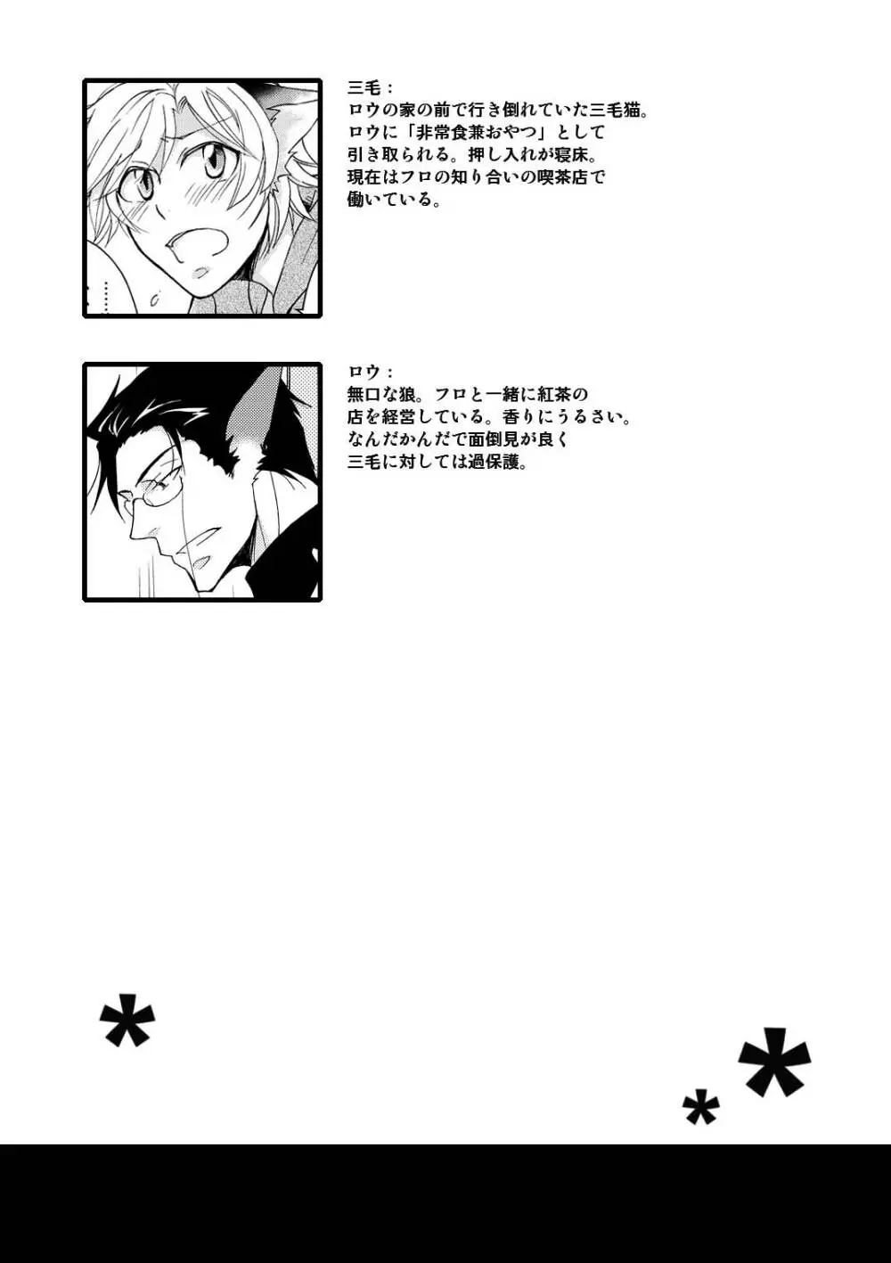 WOLF'S CAT Macaron: - page3