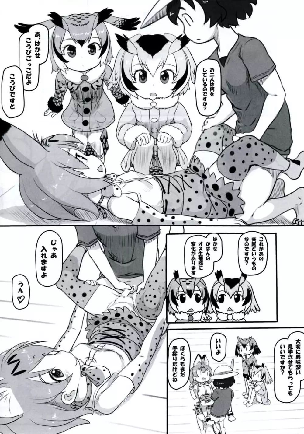 こうびのしかたをおしえて - page11