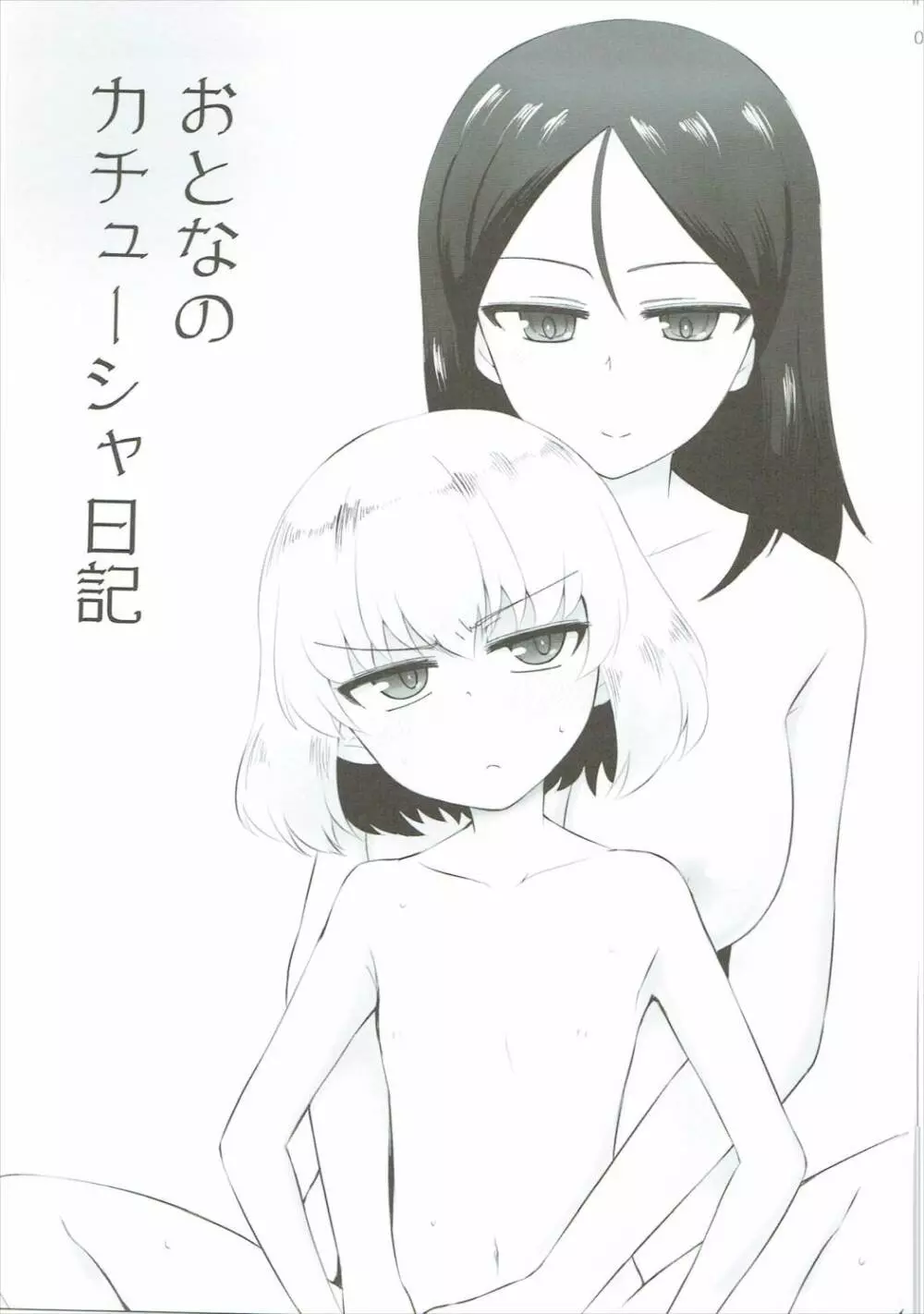 おとなのカチューシャ日記 - page2
