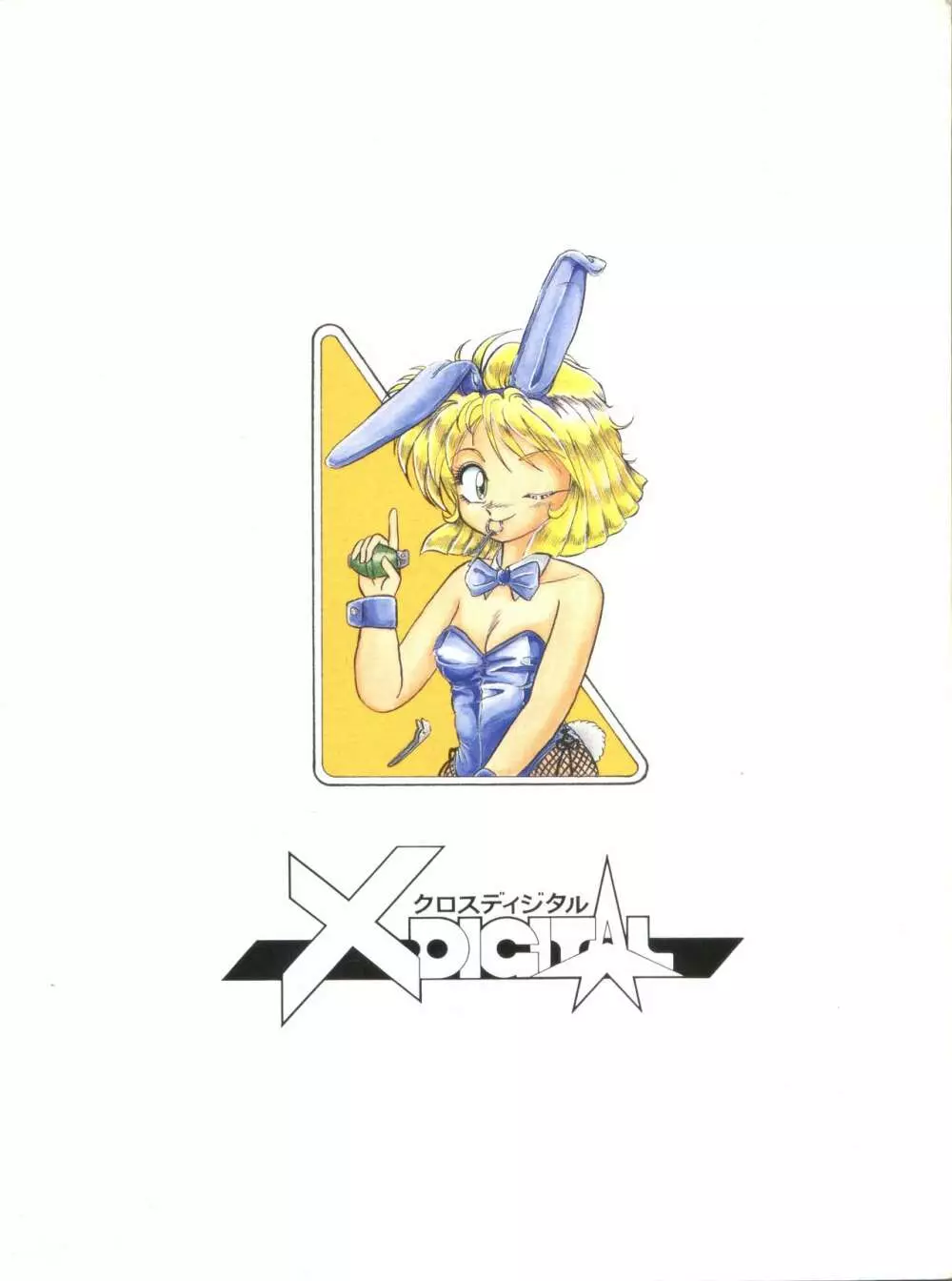 X DIGITAL クロスディジタル VER.2 ½ - page114
