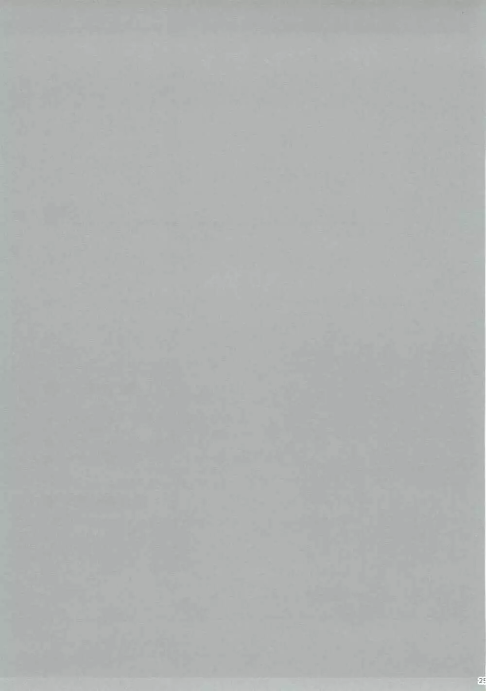 SSR - page24
