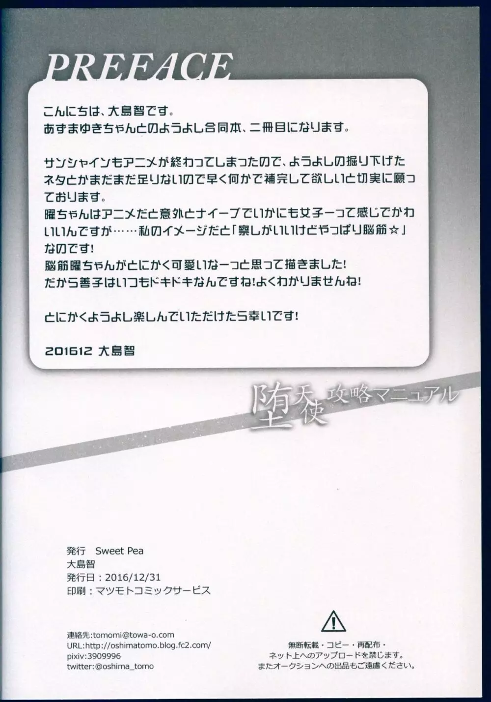 堕天使攻略マニュアル - page20