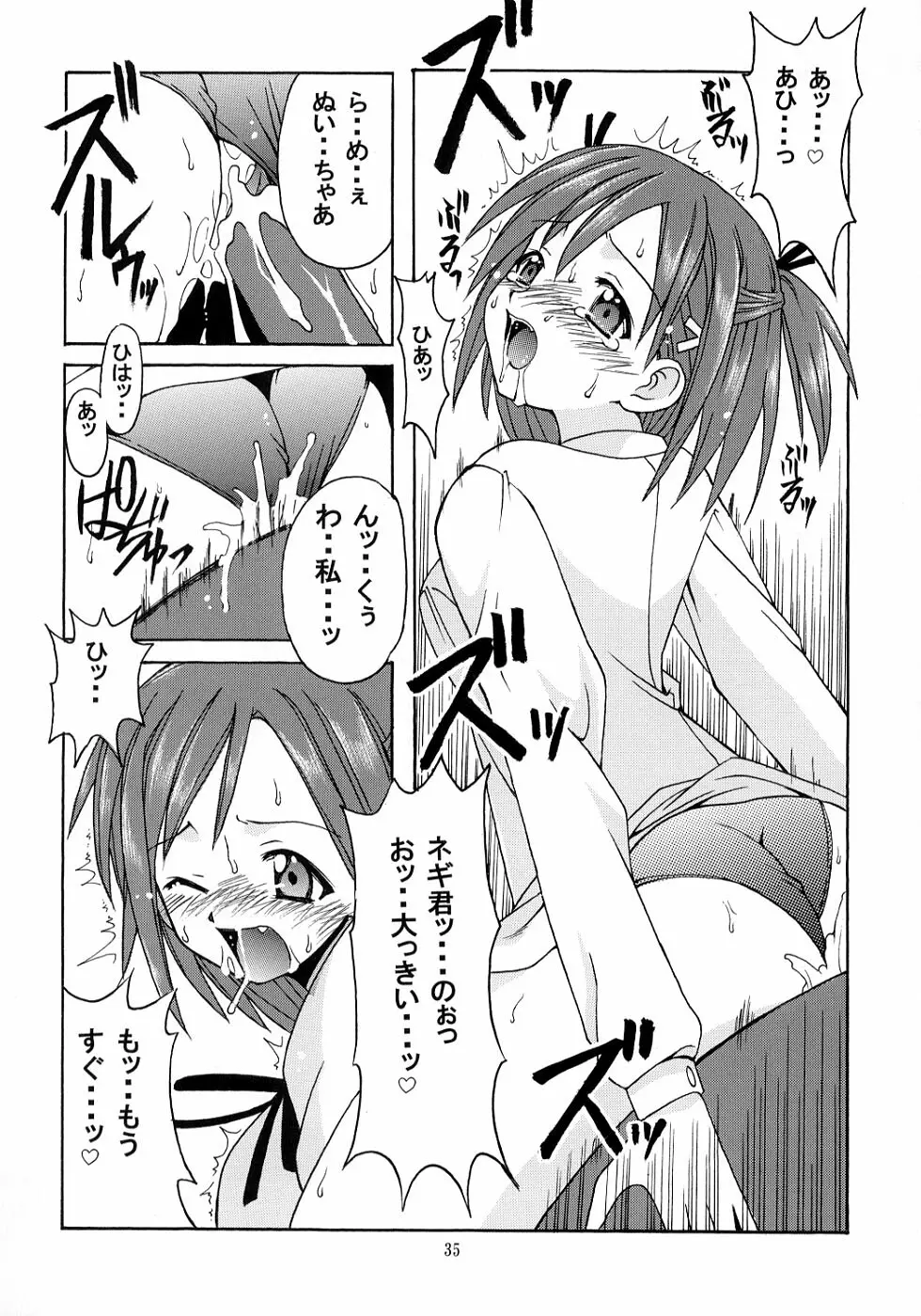 ネギ先生と賢者のブルマ - page34